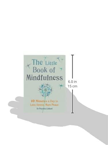 Little Book of Mindfulness: 10 minutes a day to less stress, more peace