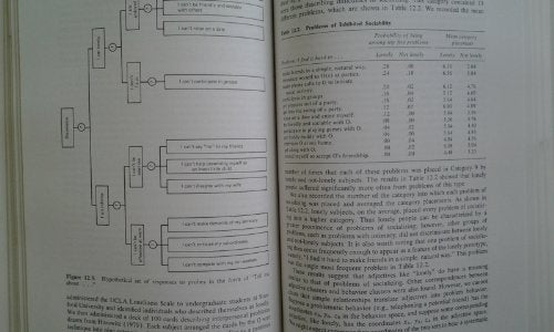 Loneliness: A Sourcebook of Current Theory, Research and Therapy (Wiley Series on Personality Processes)