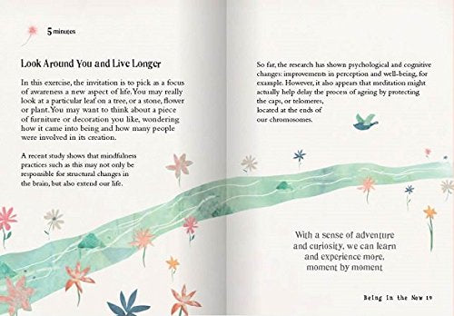 Little Book of Mindfulness: 10 minutes a day to less stress, more peace