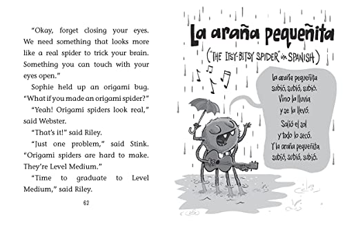 Stink and the Hairy Scary Spider