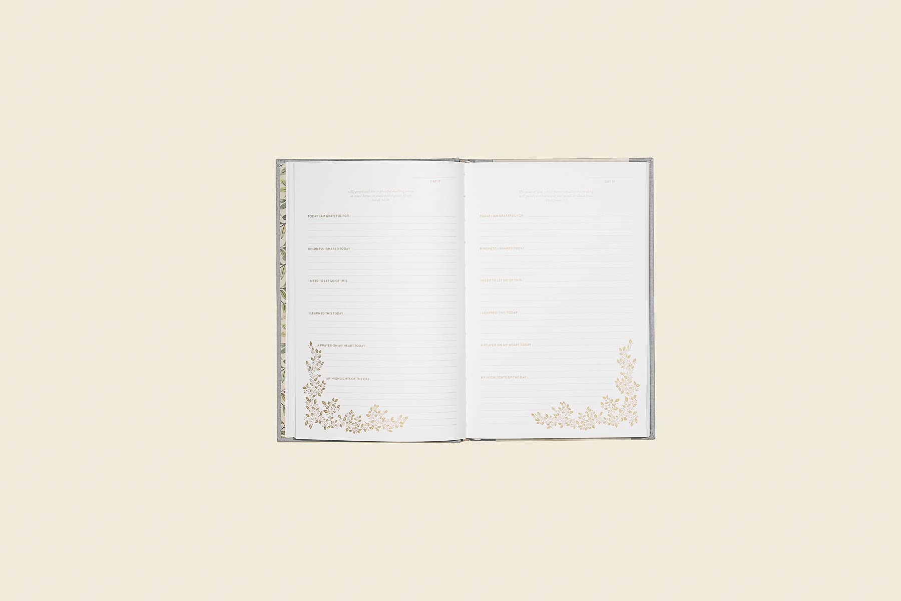More Than Gratitude: 100 Days of Cultivating Deep Roots of Gratitude through Guided Journaling, Prayer, and Scripture (Heirloom Story Books and Guided Journals)