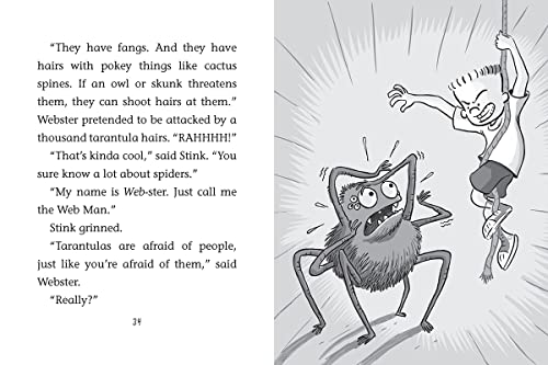 Stink and the Hairy Scary Spider