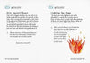 The Little Book of Gratitude: Create a life of happiness and wellbeing by giving thanks