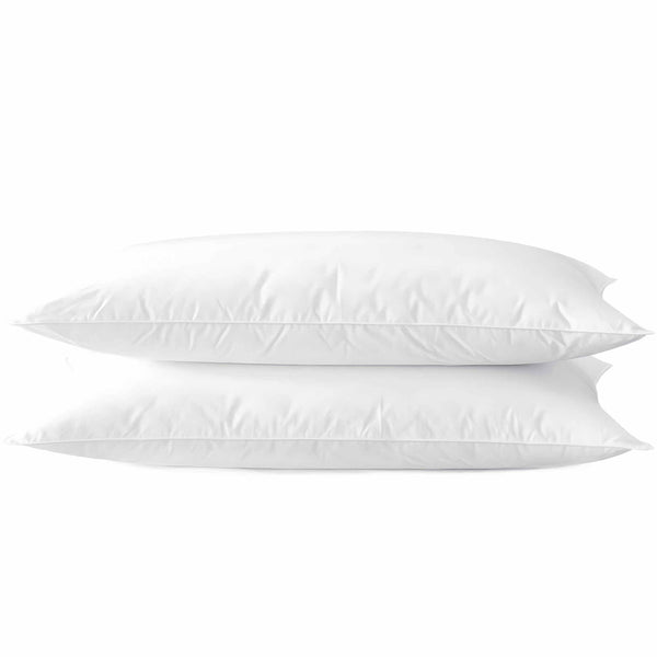 Ultra Thin Flat Soft Bed Pillows Queen Size Set of 2 Pack for Sleeping 20