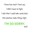 Teddy Bear with I'm Sorry T-Shirt – Plush 10