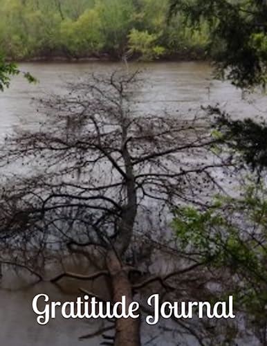 Gratitude Journal: Tree on the Water