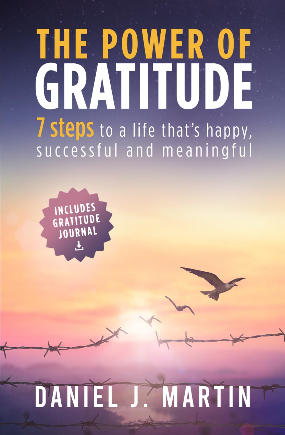 The power of gratitude: 7 steps to a happier, more successful and more meaningful life (The Power is Within You)