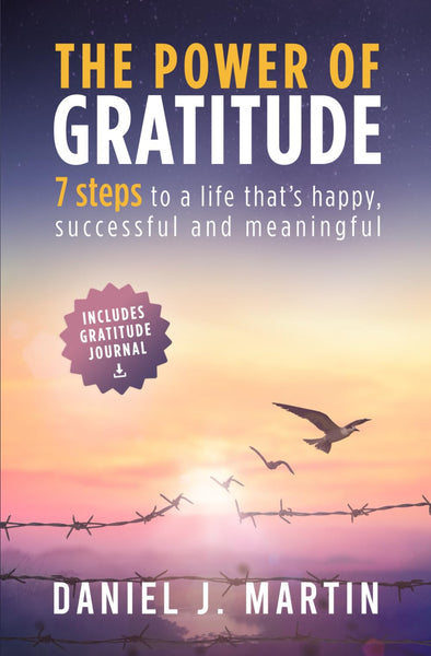 The power of gratitude: 7 steps to a happier, more successful and more meaningful life (The Power is Within You)