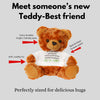 Teddy Bear with I'm Sorry T-Shirt – Plush 10