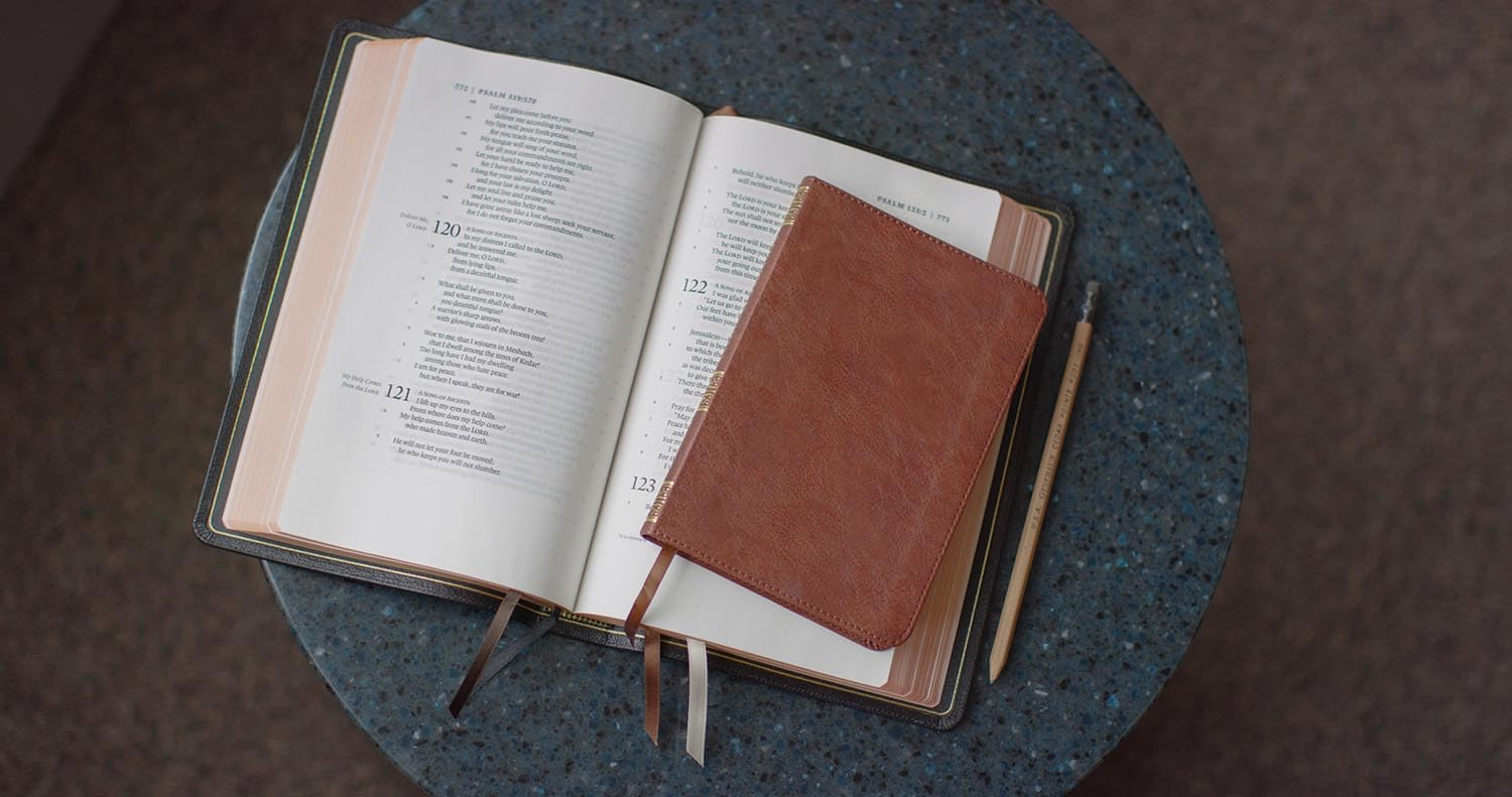 ESV Bible Promises: 700 Passages to Strengthen Your Faith (TruTone, Brown)