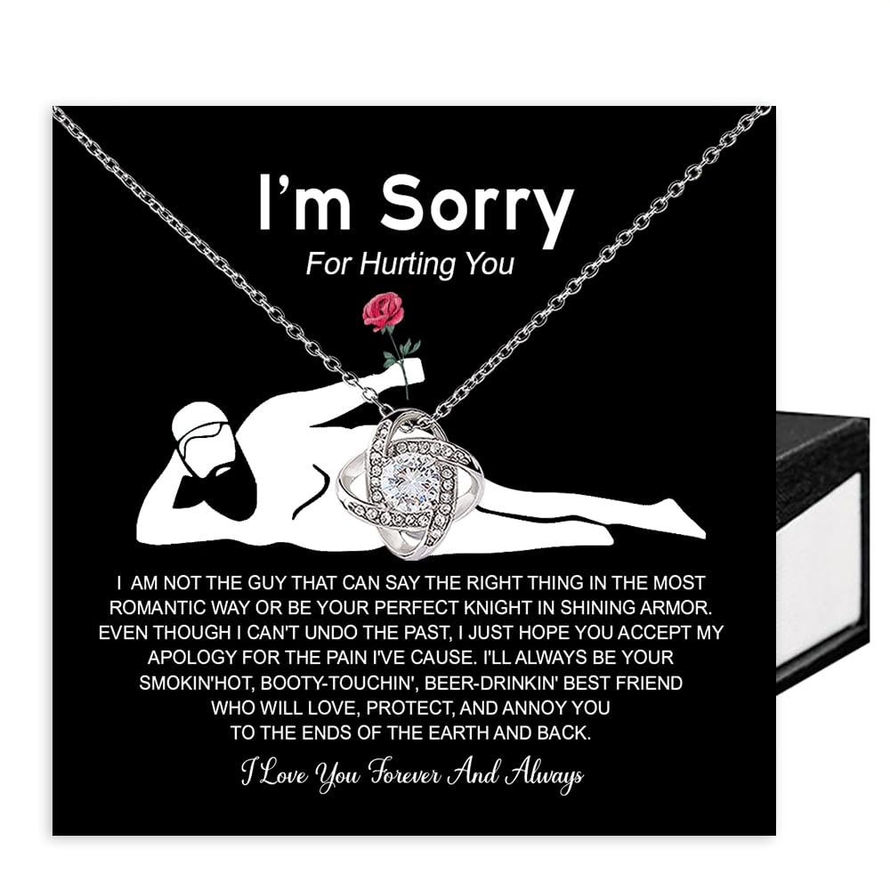 VIRAGIL Im sorry Necklace Gifts, Funny Gifts For Girlfriend, Christmas Presents For Girlfriend, Necklace Gift Ideas For Wife, Im Sorry Necklace For Women Romantic Jewelry For Her Anniversary