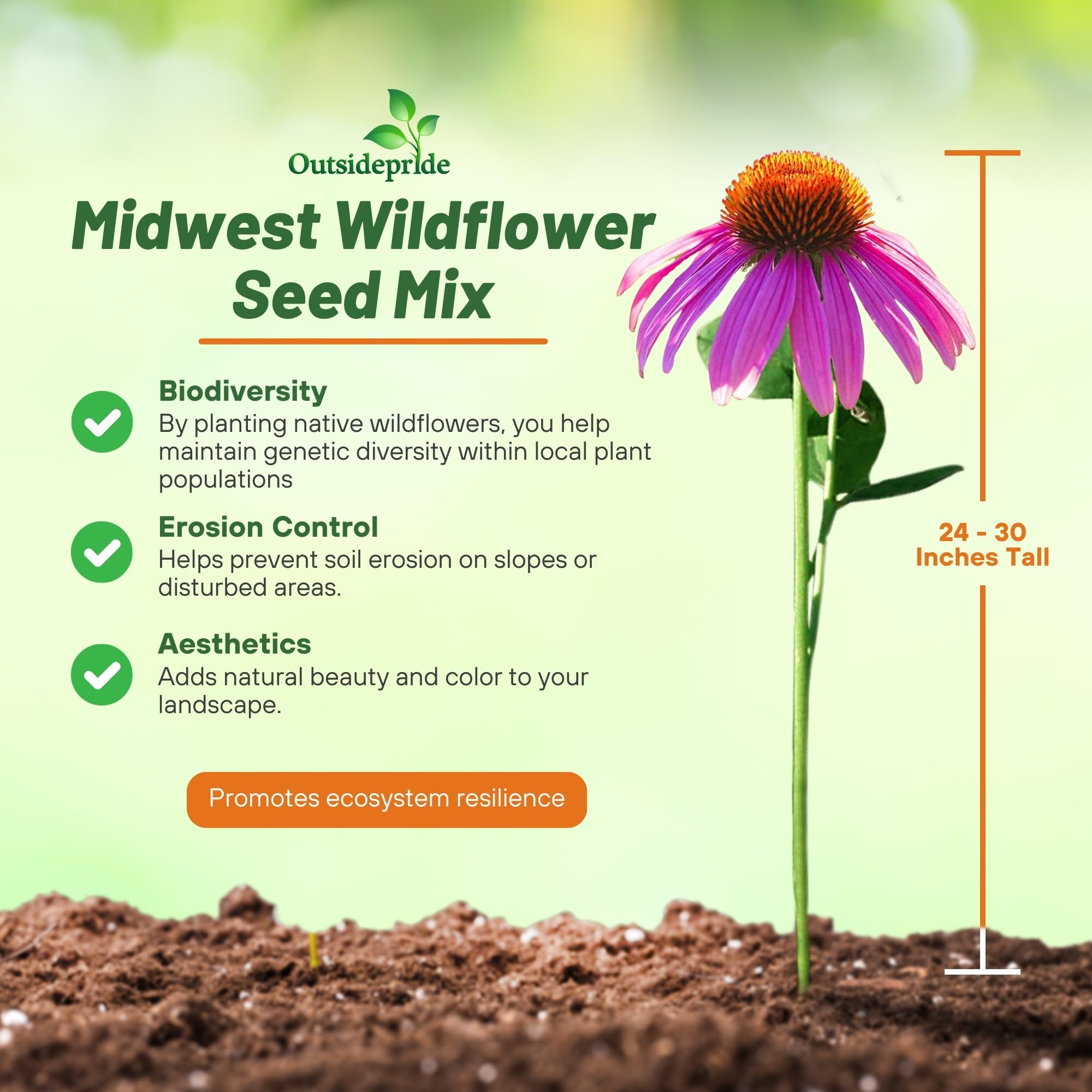 Outsidepride Midwest Wildflower Seed Mix - 5 Lbs Premium Blend of Annual & Perennial Native Wildflower Seeds for Midwestern States, Attracts Pollinators, Low-Maintenance, Ideal for Meadows & Gardens