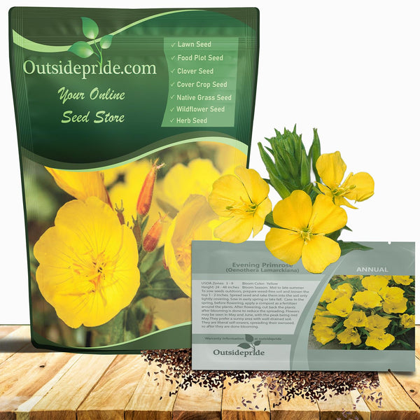 Outsidepride Evening Primrose Seeds - 1/4 Lb. Annual, Hardy, Easy to Grow & Low Maintenance Flower Seeds for Planting Vibrant Soft Yellow Blooms, for Containers, Borders & Erosion Control