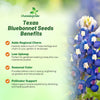 Outsidepride Texas Bluebonnet Seeds - 1 lb. Annual Lupinus Texensis, Heirloom Quality, Drought-Tolerant Wildflower Seeds w/Blue Blooms for Vibrant Spring Displays, Landscape, & Attracts Pollinators