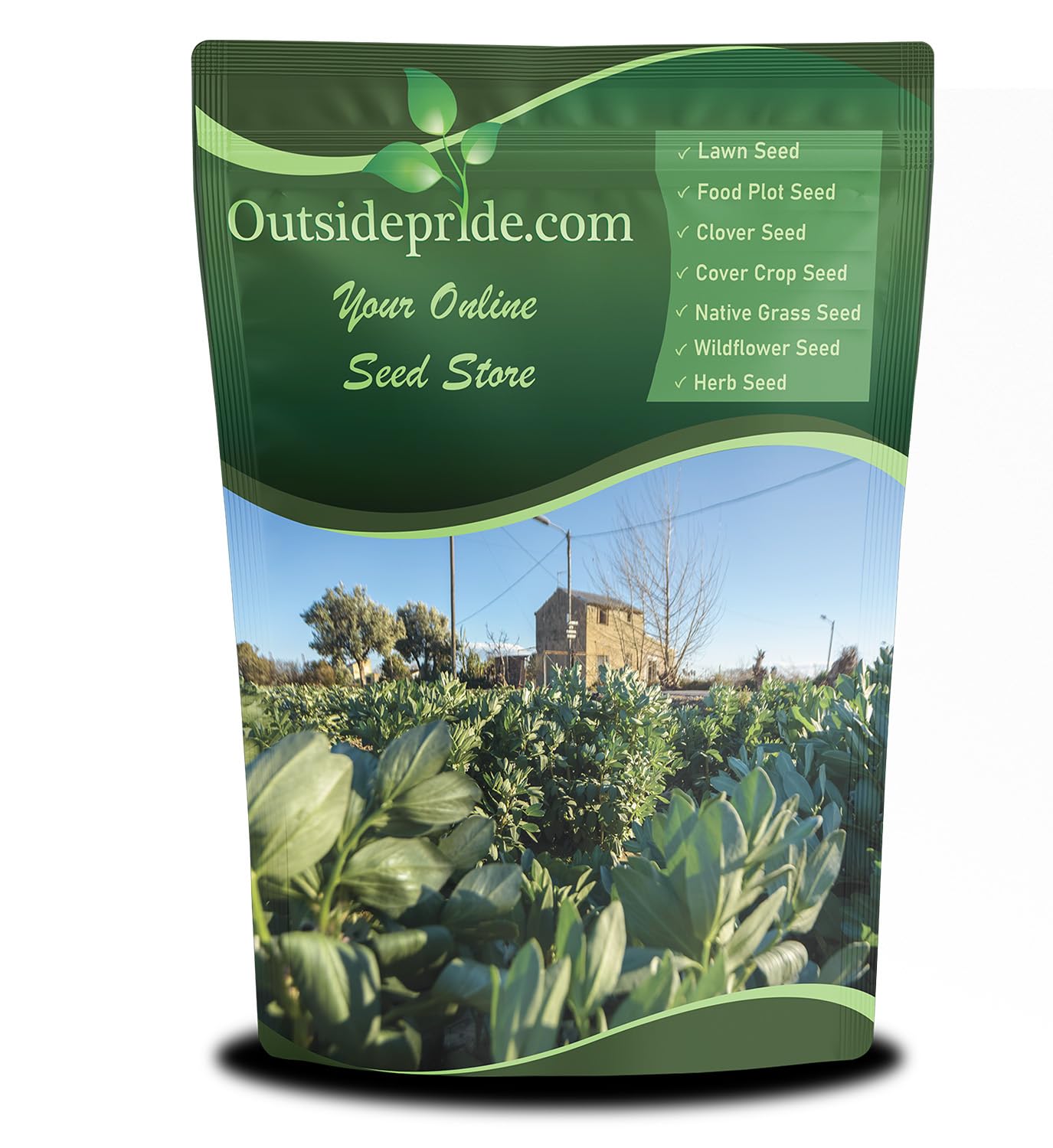 Outsidepride Annual Fava Beans Seeds - 1 lb. High-Protein Forage Legume Seed for Soil Health Improvement, Erosion Control Support, Pollinator Attraction, Cover Crop, Hay, & Deer Food Plots