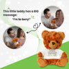 Teddy Bear with I'm Sorry T-Shirt – Plush 10