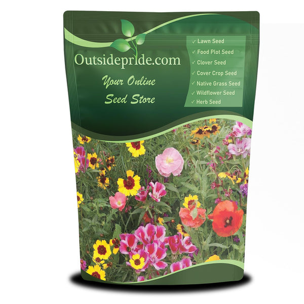 Outsidepride Pollinator Wildflower Seed Mix - 1/4 lb Flower Seeds for Attracting Pollinators, Ideal for All States, Enhances Garden Biodiversity, Supports Bees, Butterflies & Beneficial Insects