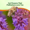 Outsidepride Sage Seeds - 1 lb. Perennial, Easy to Grow, Drought-Tolerant & Versatile Herb Seeds for Planting Aromatic & Vibrant Prickly Mauve Blooms, Great for Xeriscaping & Pollinator Gardens