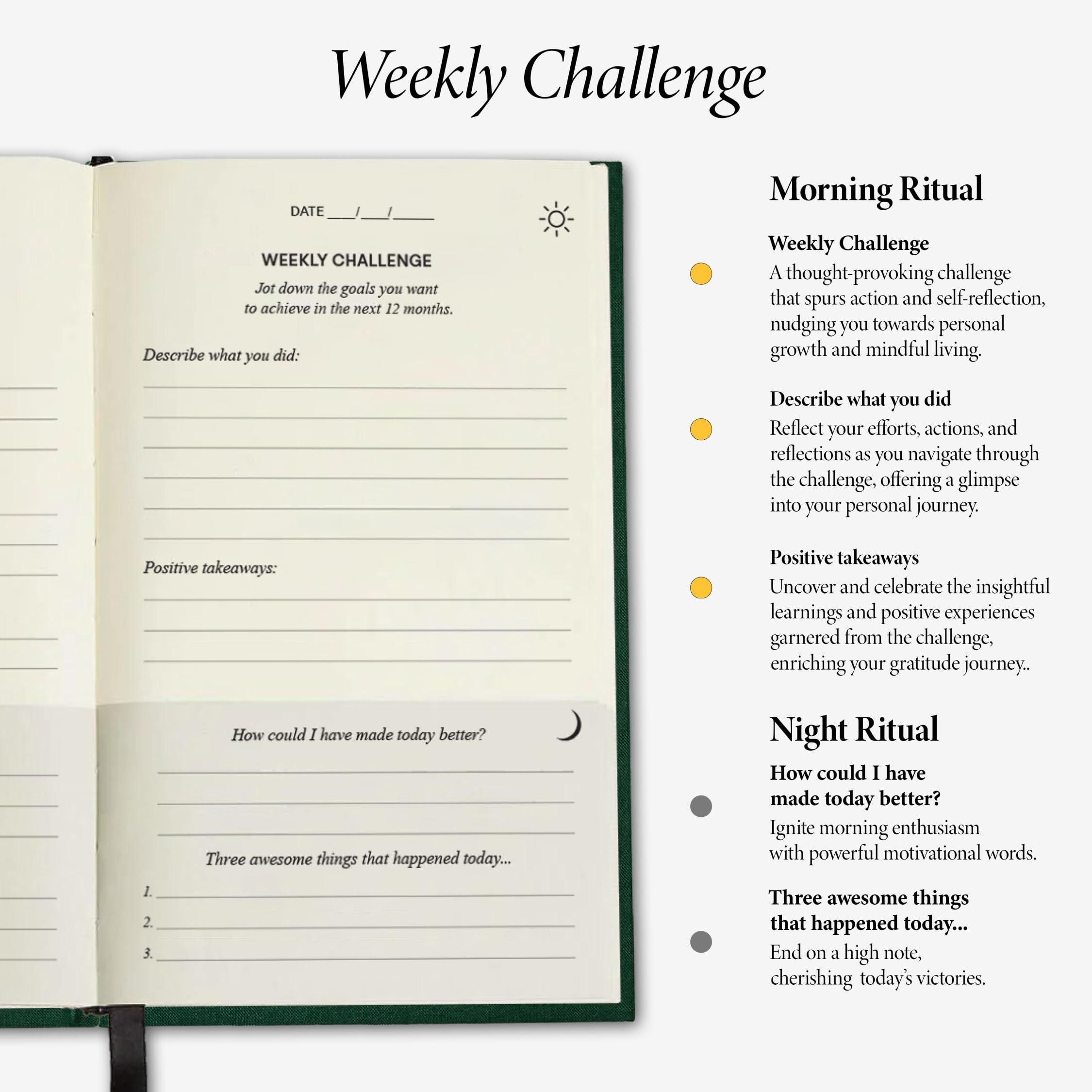 The Original Gratitude Journal for Men 2025 & Women Uplifting Quotes & Prompts for Happiness & Positive Mindset - Daily Journal for Affirmation, Reflection & Mindfulness - Premium Green Cover