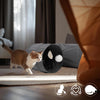 PAOPO Cat Tunnel, 2-Way Collapsible Cat Tube with Interactive Peek-A-Boo Hole, Toy Ball, and Rope – Ideal for Indoor Cats, Kittens, and Rabbits, Dark Gray