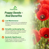 Outsidepride Red Poppy Seeds for Planting - 1/4 lb. Annual, Drought-Tolerant & Easy to Grow Wildflower Seeds with Vibrant Red Blooms for Landscaping, & Pollinator Garden