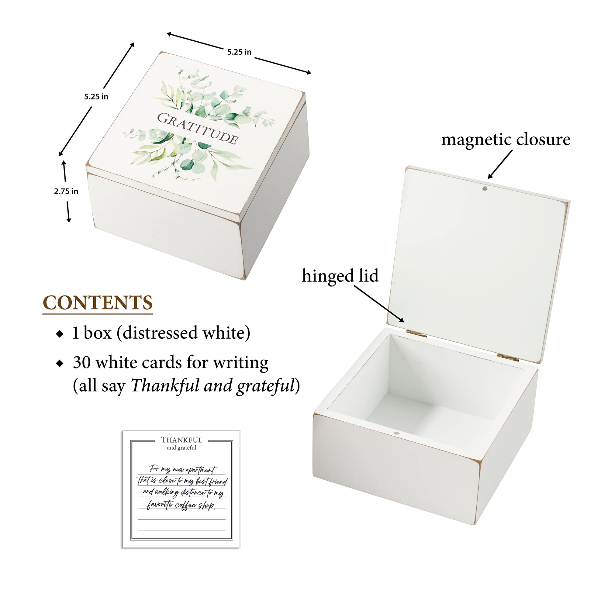 Lillian Rose Rustic Botanical Gratitude Box with 30 Note Cards, One Size, white, multi