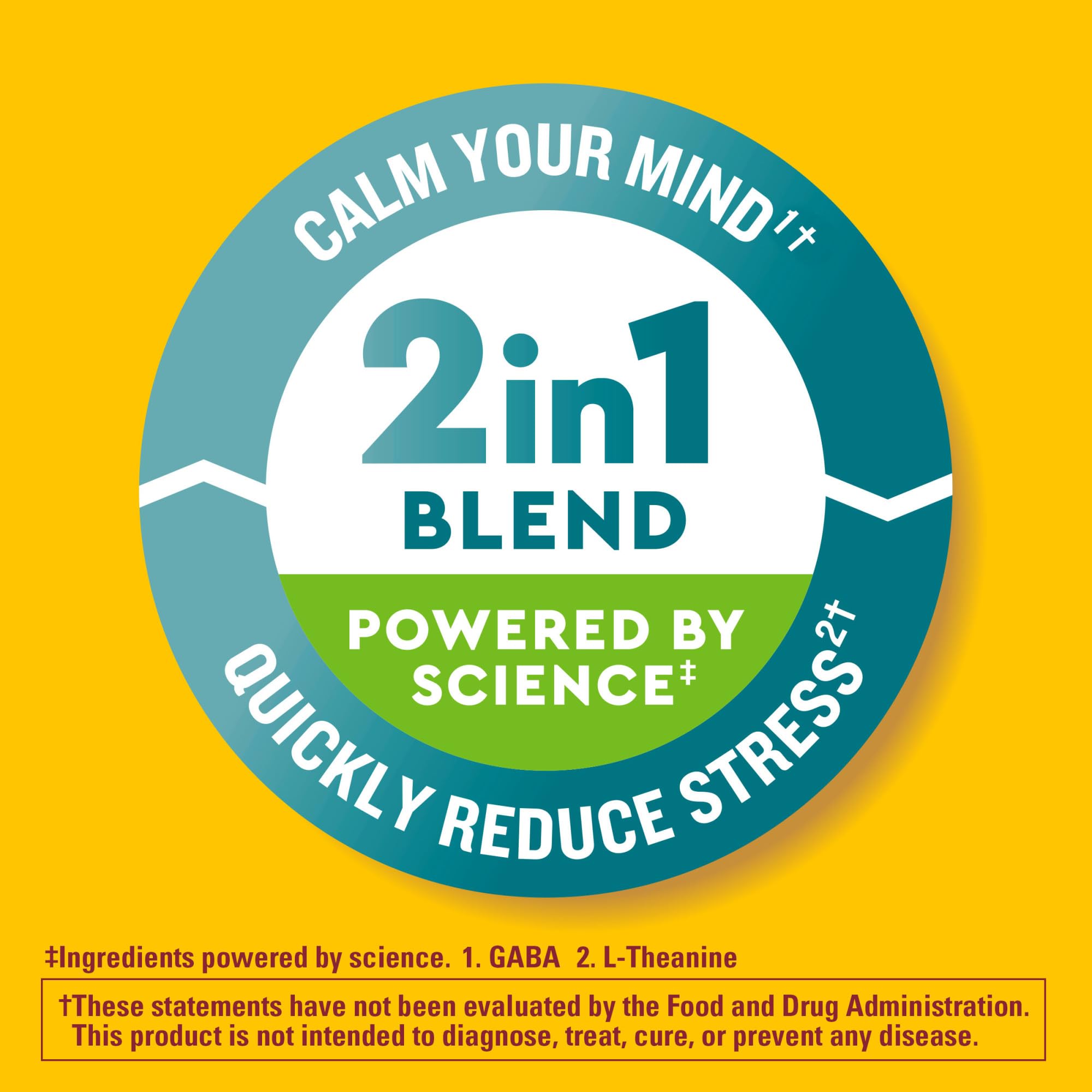 Nature Made Wellblends Stress Relief Gummies, L theanine 200mg to Help Reduce Stress, with GABA 100mg, Same Day Stress Support, 40 Strawberry Flavor Gummies