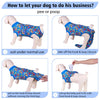 PetWarm Dog Spay Recovery Suit, Surgery Suit for Dogs, Onesie for Dogs, Anti-Licking Dog Surgical Recovery Pajamas, Bodysuit for Abdominal Affected Areas Sensitive Skin Areas, Zoo Pattern, Blue, XS
