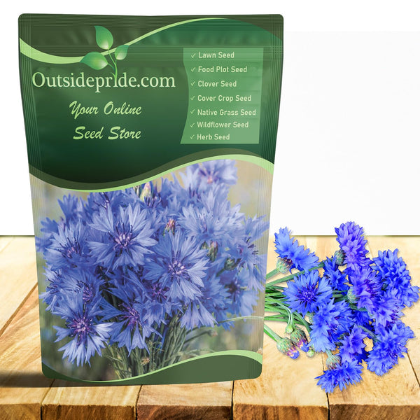 Outsidepride Blue Cornflower Seeds for Planting - 1 lb. Annual Bachelor's Button Flower Seeds for Cut Flower Gardens, Drought-Tolerant, Attracts Pollinators, Ideal for Borders & Bouquets