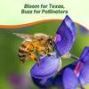 Outsidepride Texas Bluebonnet Seeds - 1 lb. Annual Lupinus Texensis, Heirloom Quality, Drought-Tolerant Wildflower Seeds w/Blue Blooms for Vibrant Spring Displays, Landscape, & Attracts Pollinators