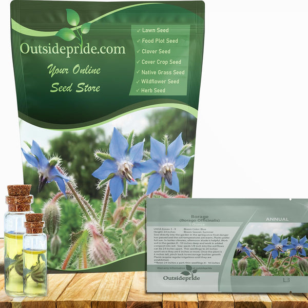 Outsidepride Blue Borage Seeds for Planting – 1/4 lb. Annual, Drought-Tolerant Herb Seeds with Star-Shaped Blooms, Attracts Bees for Pollinator Gardens, Summer Teas, Decoration & Culinary Use
