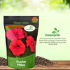 Outsidepride Scarlet Phlox Seeds - 1/2 lb. Annual, Compact & Self-Seeding Flower Seeds for Planting Vibrant Rose-Red Blooms in Pollinator Gardens, Borders, Containers & Floral Arrangements