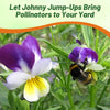 Outsidepride Johnny Jump Up Viola Wild Flower Seeds - 1/8 lb Easy-to-Grow, Compact & Hardy Perennial Seeds for Planting Outdoors, Ideal for Pollinators, Garden Beds, Containers, & Hanging Baskets