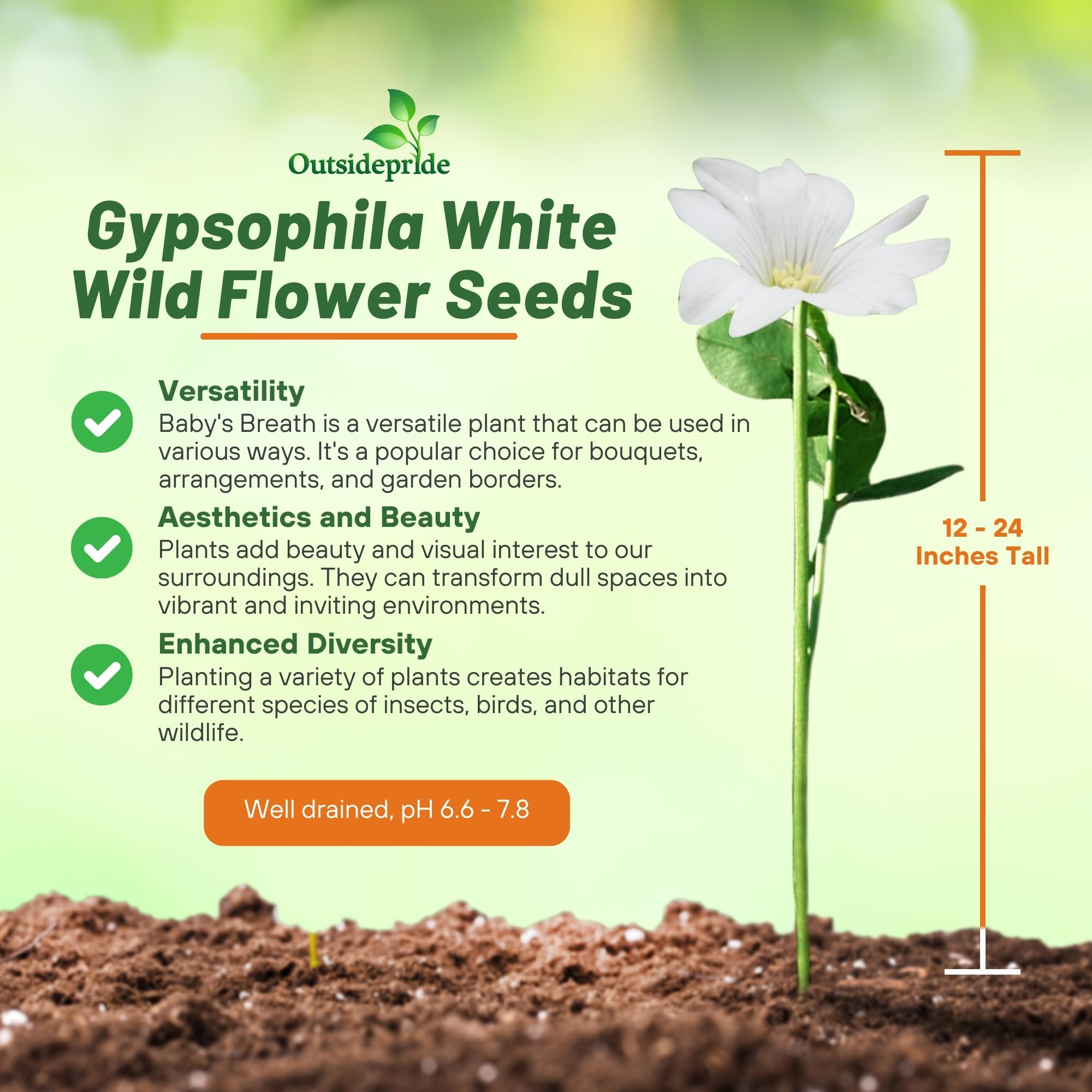 Outsidepride Gypsophila White Baby's Breath Seeds - 5000 Pcs. Annual Hardy, Easy to Grow & Drought Tolerant Wild Flower Seeds for Planting Vibrant Blooms in Pollinator Gardens & Floral Arrangements