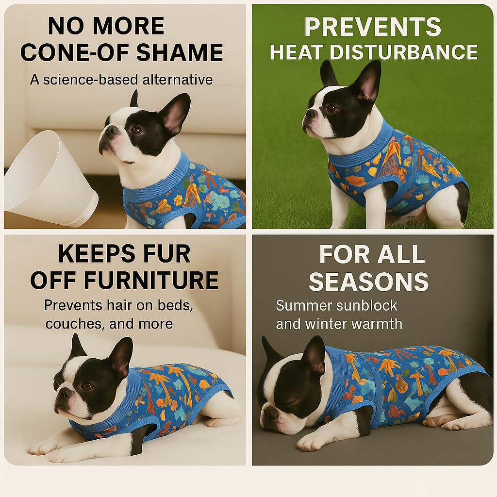 PetWarm Dog Spay Recovery Suit, Surgery Suit for Dogs, Onesie for Dogs, Anti-Licking Dog Surgical Recovery Pajamas, Bodysuit for Abdominal Affected Areas Sensitive Skin Areas, Zoo Pattern, Blue, XS
