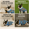 PetWarm Dog Spay Recovery Suit, Surgery Suit for Dogs, Onesie for Dogs, Anti-Licking Dog Surgical Recovery Pajamas, Bodysuit for Abdominal Affected Areas Sensitive Skin Areas, Zoo Pattern, Blue, XS