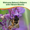 Outsidepride Nepeta Cataria Catnip Seeds for Planting – 1/4 lb. Perennial, Pollinator-Friendly, Drought-Tolerant, & Low Maintenance Herb Seeds with Fragrant Blue Blooms, Ideal Fresh Catnip for Cats