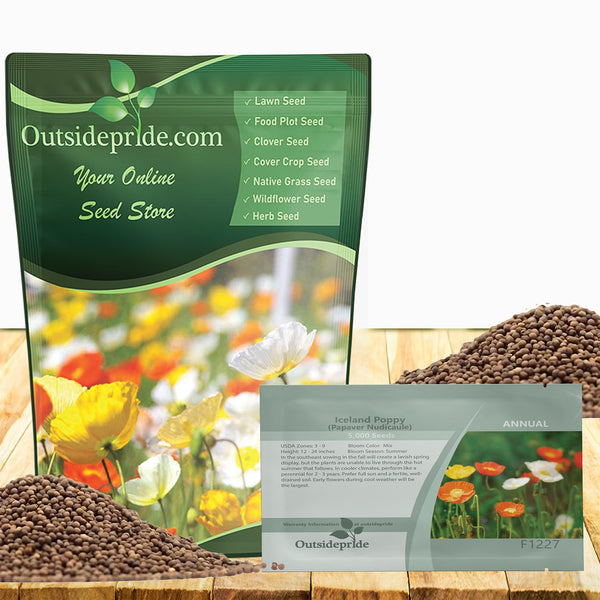 Outsidepride Iceland Poppy Seeds for Planting Outdoors - 1/8 Lb. Annual, Drought-Tolerant & Easy to Grow Wildflower Seeds with Vibrant Purple Blooms for Landscaping, & Pollinator Garden