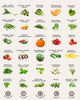50 Tactiko Survival Vegetable, Herb & Fruit Seed Kit - U.S.A. Harvested Varieties - Over 25,000 Non-GMO Heirloom Seeds - Emergency Seed Vault in Waterproof Mylar Bag - Long-Term Storage