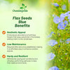 Outsidepride Blue Flax Seeds - 1 lb Perennial Flower Seeds for Planting, Self-Seeding, Drought-Tolerant w/Compact Growth, Ideal for Small Gardens, Meadows, Borders, or Mass Plantings