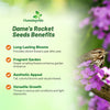 Outsidepride Dame's Rocket Flower Seeds - 1 Lb. Perennial, Easy to Grow, Deer Resistant & Self-Seeding Wildflower Seeds for Planting Vibrant and Fragrant Blooms in Pollinator & Butterfly Gardens