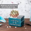 YINUOWEI Dumpster Fire Fake Plants in Ceramic Succulent Pots Desk Decor, Emotional Support Positive Thinking Office Desk Accessories, Motivational Gifts for Women, Men, Coworkers