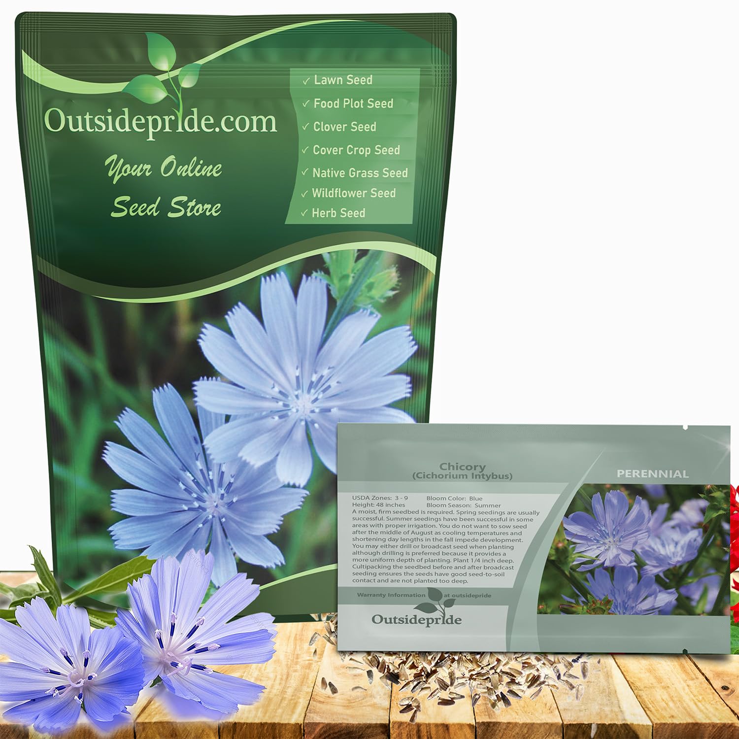 Outsidepride Chicory Seeds for Planting - 1/4 lb. Perennial, Easy to Grow & Drought Tolerant, Flower Seeds with Clustered Pastel Blue Blooms for Garden Pastures & Wildflower Meadows