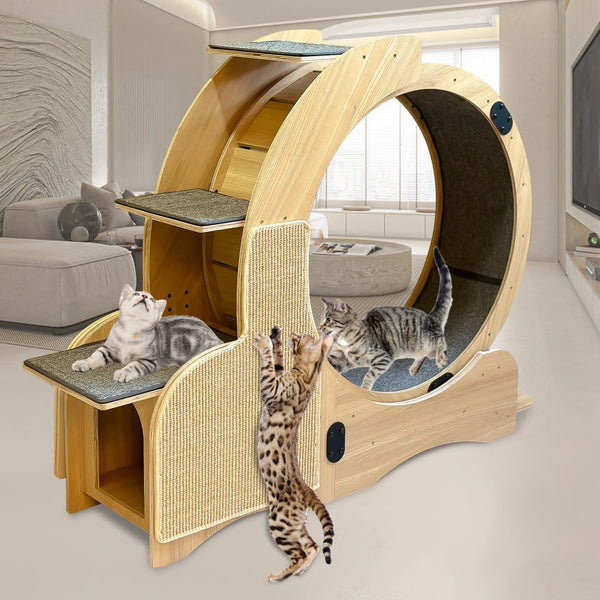 Cat Sports Running Wheel, Cats Wheel Wood Climbing Frame, Cat Litter Fitness Wheel for Indoor Cats,Climbing Ladders,Cat Scratching Board,Cat Bowls,46.4 ×38.5×42.1 Inchs (Upgraded 5-In-1model)