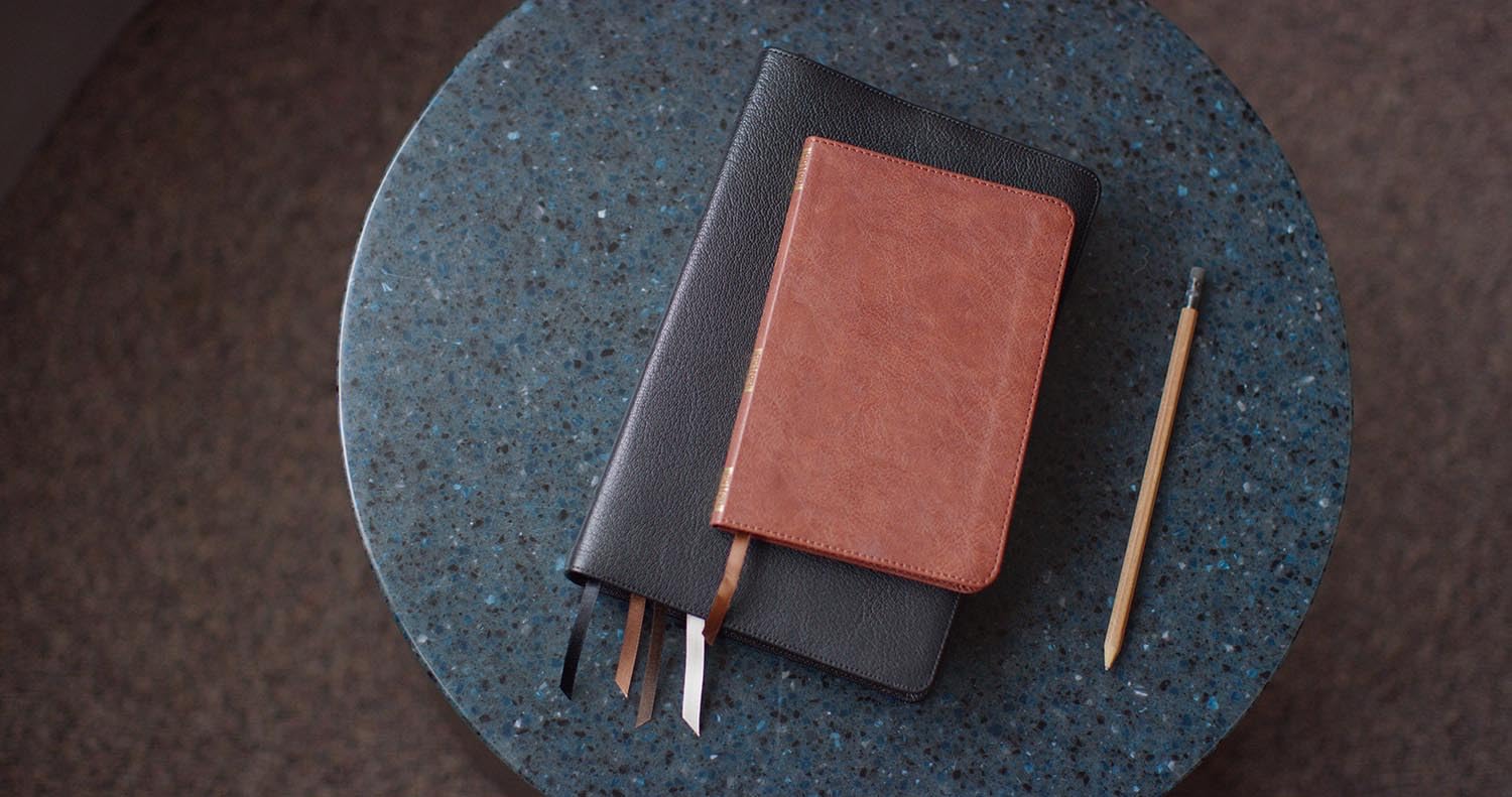 ESV Bible Promises: 700 Passages to Strengthen Your Faith (TruTone, Brown)