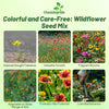 Outsidepride Southeast Wildflower Seed Mix - 1 lb Highly Adaptable, Easy to Grow, Low-Maintenance Mix of Annual & Perennial Wildflower Seeds for Natural Landscapes in Southeastern States