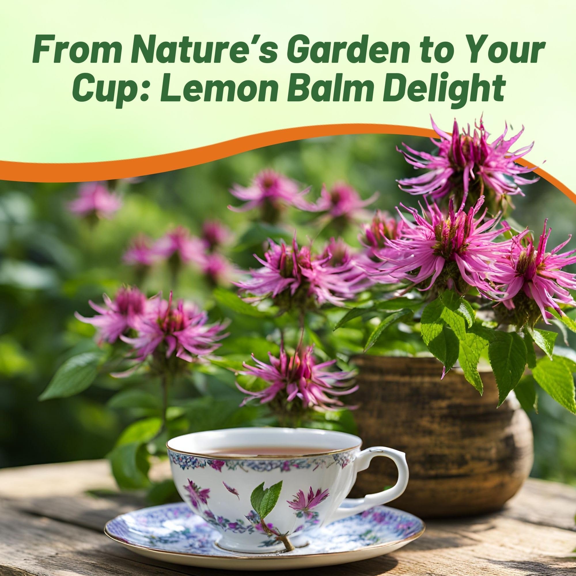Outsidepride Lemon Bee Balm Seeds - 5000 Pcs Annual, Easy to Grow & Pollinator Friendly Monarda Citriodora Flower Seeds for Planting Fragrant Lavender Pink Blooms, Ideal for Teas & Potpourri