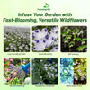 Outsidepride Nemophila Five Spot Annual Flower Seeds - 1/4 Lb. Fast-Growing, Hardy & Self-Seeding Wildflower Seeds for Planting Vibrant Garden Flowers, Easy Blooms for Pollinator Gardens & Baskets
