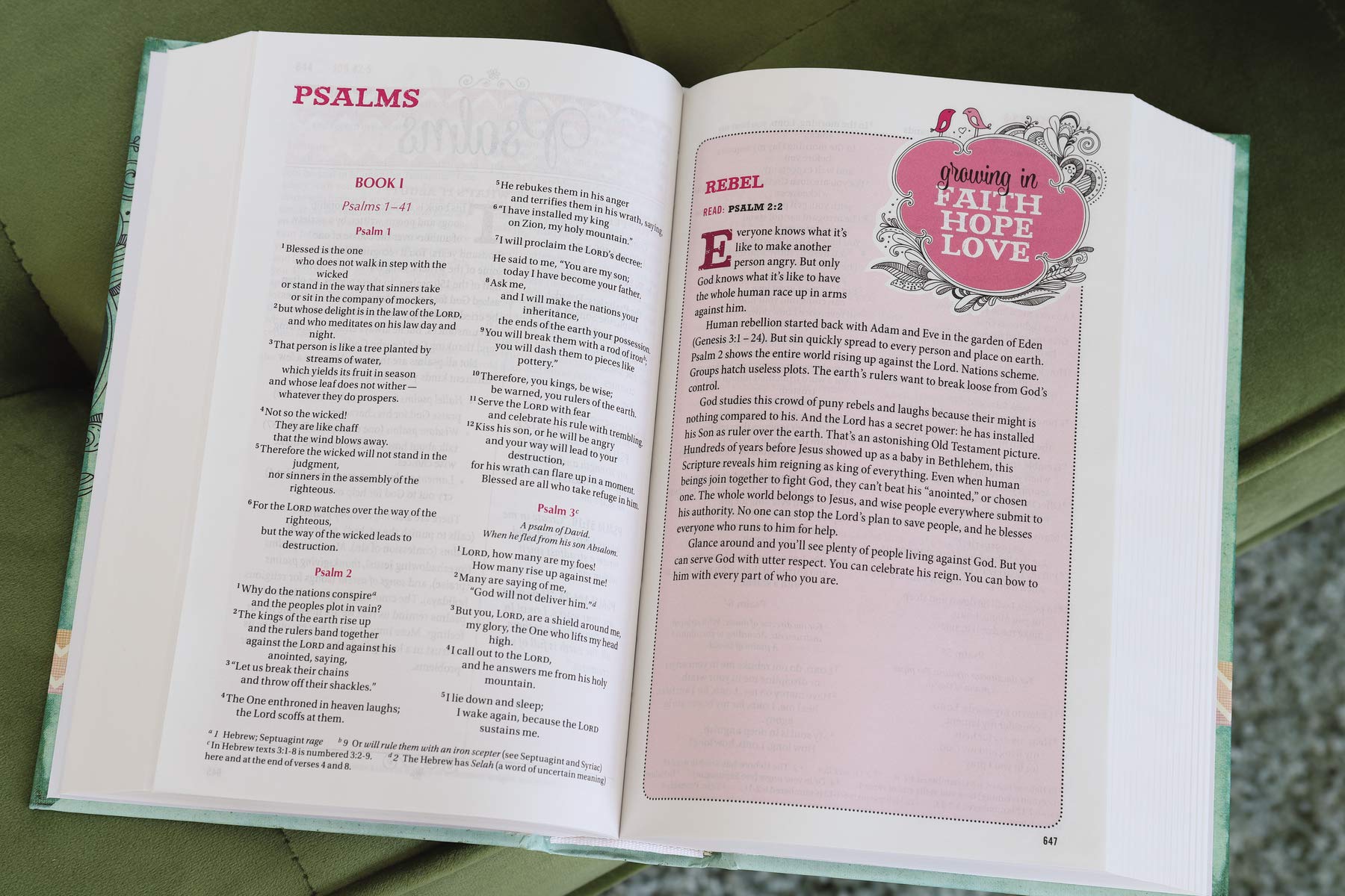 NIV, Bible for Teen Girls, Hardcover: Growing in Faith, Hope, and Love