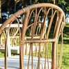 YITAHOME Rattan Outdoor Dining Chairs Set of 4 with Curved Back & Cushions Wicker Bistro Chairs with Armrest Woven Rattan Chair All-Weather Wicker Patio Dining Chair for Outdoor/Indoor, Beige